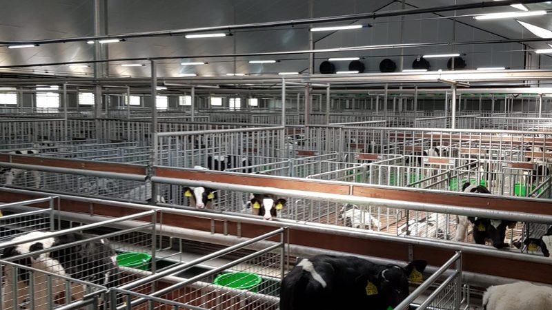 抖音小店营业执照没有实体店能办吗