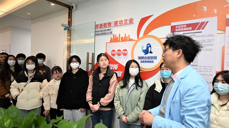 便宜的个人独立站搭建方案
